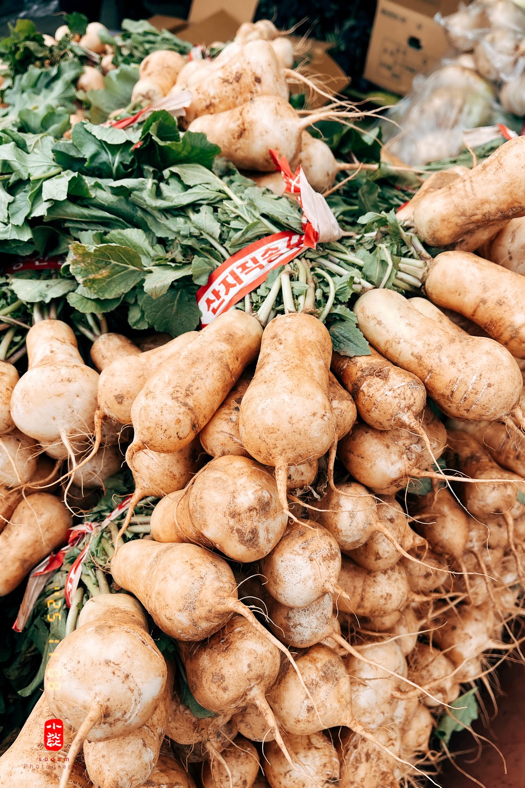 b7ff3ac71422afe6d74c2744e37e5ff7_1763203164_5462.jpg b7ff3ac71422afe6d74c2744e37e5ff7_1763203164_5462.jpg