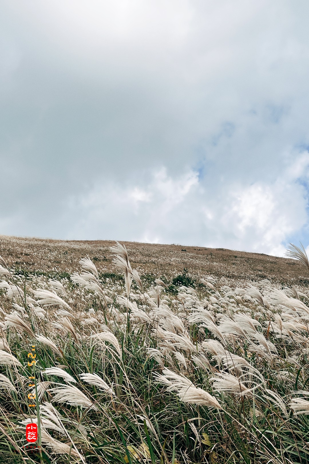 e89c79fd5a4f06db681f4fabd56991e3_1762413883_8329.jpg e89c79fd5a4f06db681f4fabd56991e3_1762413883_8329.jpg