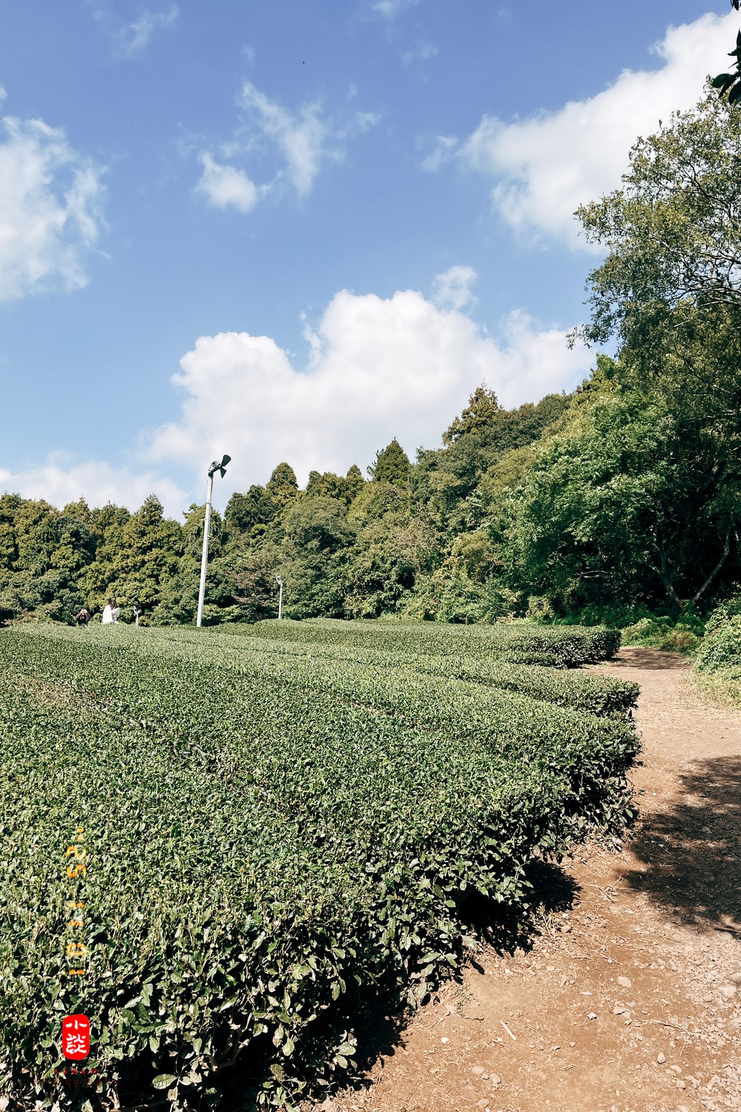 e89c79fd5a4f06db681f4fabd56991e3_1762415073_1057.jpg e89c79fd5a4f06db681f4fabd56991e3_1762415073_1057.jpg