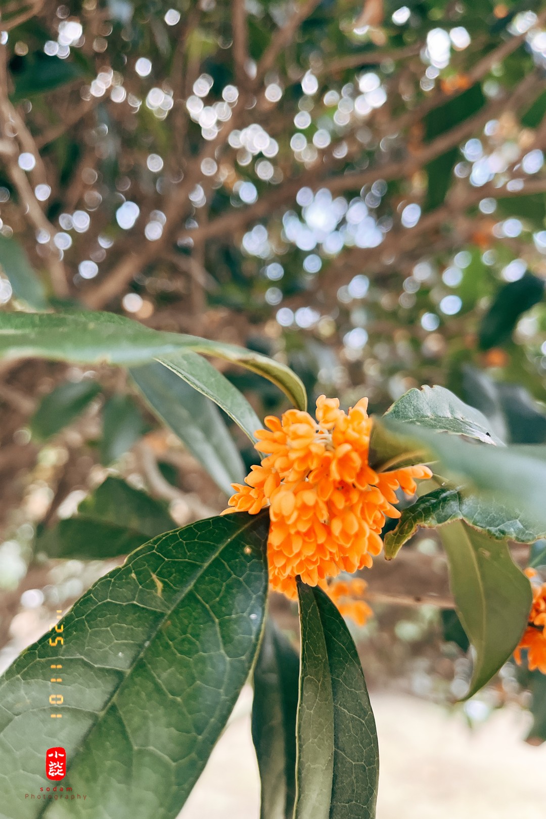 e89c79fd5a4f06db681f4fabd56991e3_1762415245_6407.jpg e89c79fd5a4f06db681f4fabd56991e3_1762415245_6407.jpg