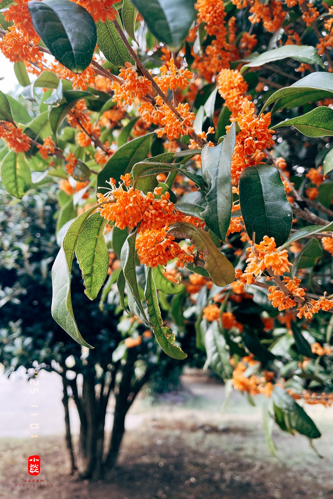 e89c79fd5a4f06db681f4fabd56991e3_1762415246_2102.jpg e89c79fd5a4f06db681f4fabd56991e3_1762415246_2102.jpg