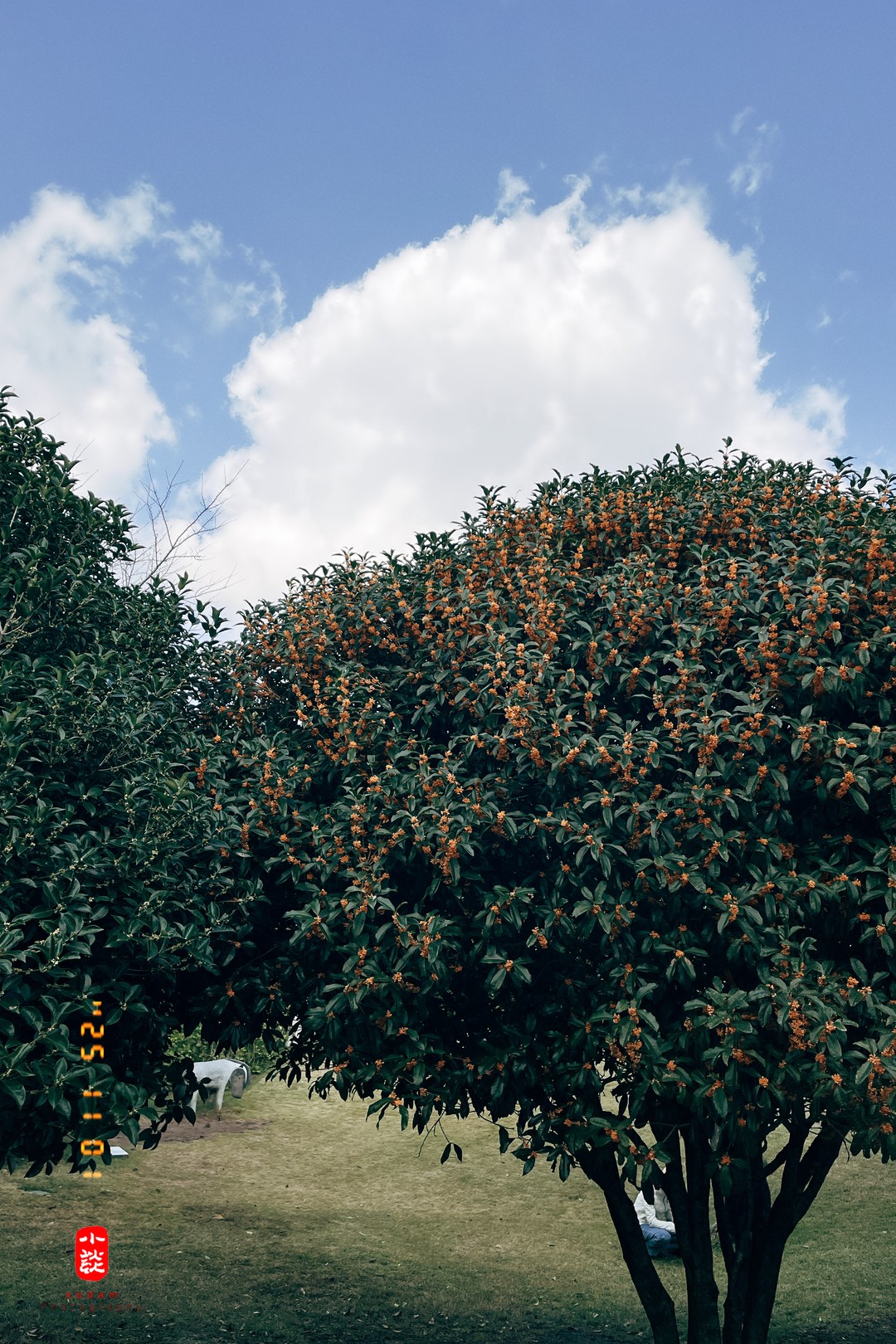 e89c79fd5a4f06db681f4fabd56991e3_1762415246_7836.jpg e89c79fd5a4f06db681f4fabd56991e3_1762415246_7836.jpg