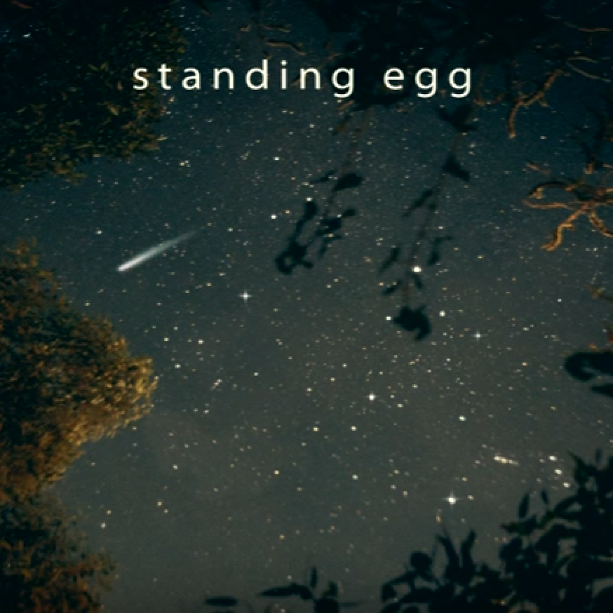 Starry Night / Standing EGG